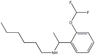 {1-[2-(difluoromethoxy)phenyl]ethyl}(hexyl)amine 结构式