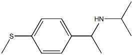 {1-[4-(methylsulfanyl)phenyl]ethyl}(propan-2-yl)amine 结构式