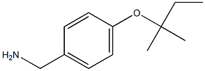 {4-[(2-methylbutan-2-yl)oxy]phenyl}methanamine 结构式