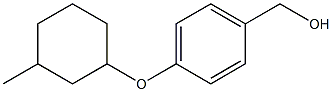 {4-[(3-methylcyclohexyl)oxy]phenyl}methanol 结构式