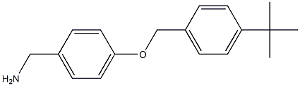 {4-[(4-tert-butylphenyl)methoxy]phenyl}methanamine 结构式