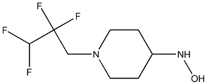 1-(2,2,3,3-tetrafluoropropyl)piperidine-4-hydroxylamine 结构式