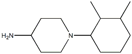 1-(2,3-dimethylcyclohexyl)piperidin-4-amine 结构式