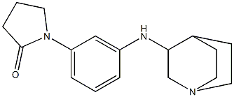 1-(3-{1-azabicyclo[2.2.2]octan-3-ylamino}phenyl)pyrrolidin-2-one 结构式