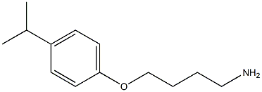 1-(4-aminobutoxy)-4-(propan-2-yl)benzene 结构式