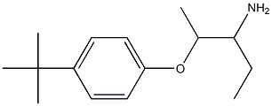 1-[(3-aminopentan-2-yl)oxy]-4-tert-butylbenzene 结构式