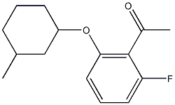 1-{2-fluoro-6-[(3-methylcyclohexyl)oxy]phenyl}ethan-1-one 结构式