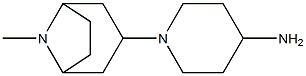 1-{8-methyl-8-azabicyclo[3.2.1]octan-3-yl}piperidin-4-amine 结构式