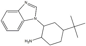 2-(1H-1,3-benzodiazol-1-yl)-4-tert-butylcyclohexan-1-amine 结构式