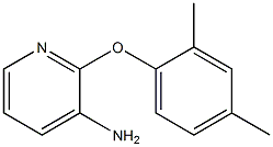 2-(2,4-dimethylphenoxy)pyridin-3-amine 结构式