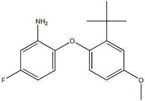 2-(2-tert-butyl-4-methoxyphenoxy)-5-fluoroaniline 结构式