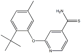 2-(2-tert-butyl-5-methylphenoxy)pyridine-4-carbothioamide 结构式