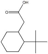 2-(2-tert-butylcyclohexyl)acetic acid 结构式