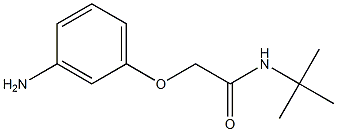 2-(3-aminophenoxy)-N-(tert-butyl)acetamide 结构式