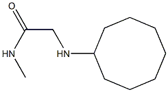 2-(cyclooctylamino)-N-methylacetamide 结构式