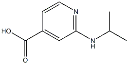 2-(propan-2-ylamino)pyridine-4-carboxylic acid 结构式