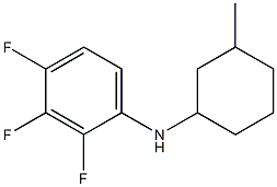 2,3,4-trifluoro-N-(3-methylcyclohexyl)aniline 结构式