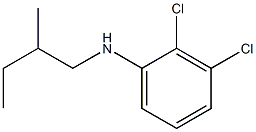 2,3-dichloro-N-(2-methylbutyl)aniline 结构式