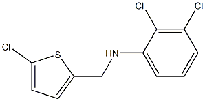 2,3-dichloro-N-[(5-chlorothiophen-2-yl)methyl]aniline 结构式