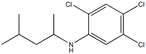2,4,5-trichloro-N-(4-methylpentan-2-yl)aniline 结构式