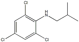 2,4,6-trichloro-N-(2-methylpropyl)aniline 结构式