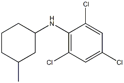 2,4,6-trichloro-N-(3-methylcyclohexyl)aniline 结构式