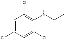 2,4,6-trichloro-N-(propan-2-yl)aniline 结构式