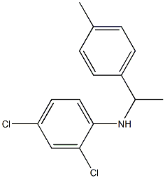 2,4-dichloro-N-[1-(4-methylphenyl)ethyl]aniline 结构式