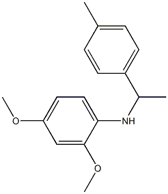 2,4-dimethoxy-N-[1-(4-methylphenyl)ethyl]aniline 结构式