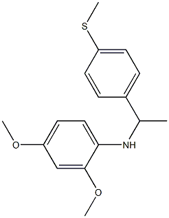 2,4-dimethoxy-N-{1-[4-(methylsulfanyl)phenyl]ethyl}aniline 结构式