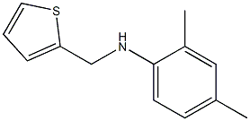 2,4-dimethyl-N-(thiophen-2-ylmethyl)aniline 结构式