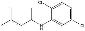 2,5-dichloro-N-(4-methylpentan-2-yl)aniline 结构式