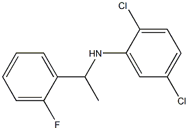 2,5-dichloro-N-[1-(2-fluorophenyl)ethyl]aniline 结构式