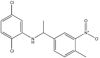 2,5-dichloro-N-[1-(4-methyl-3-nitrophenyl)ethyl]aniline 结构式