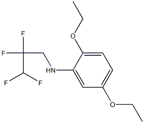 2,5-diethoxy-N-(2,2,3,3-tetrafluoropropyl)aniline 结构式