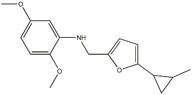 2,5-dimethoxy-N-{[5-(2-methylcyclopropyl)furan-2-yl]methyl}aniline 结构式
