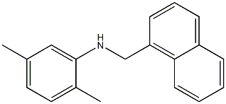 2,5-dimethyl-N-(naphthalen-1-ylmethyl)aniline 结构式