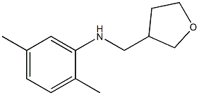 2,5-dimethyl-N-(oxolan-3-ylmethyl)aniline 结构式