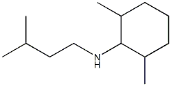 2,6-dimethyl-N-(3-methylbutyl)cyclohexan-1-amine 结构式