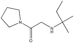2-[(2-methylbutan-2-yl)amino]-1-(pyrrolidin-1-yl)ethan-1-one 结构式