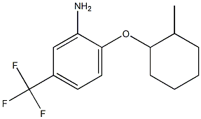 2-[(2-methylcyclohexyl)oxy]-5-(trifluoromethyl)aniline 结构式