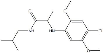 2-[(4-chloro-2,5-dimethoxyphenyl)amino]-N-(2-methylpropyl)propanamide 结构式