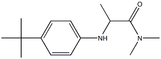 2-[(4-tert-butylphenyl)amino]-N,N-dimethylpropanamide 结构式
