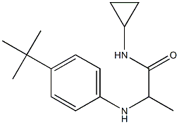 2-[(4-tert-butylphenyl)amino]-N-cyclopropylpropanamide 结构式