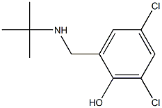 2-[(tert-butylamino)methyl]-4,6-dichlorophenol 结构式