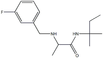 2-{[(3-fluorophenyl)methyl]amino}-N-(2-methylbutan-2-yl)propanamide 结构式