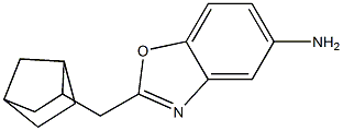 2-{bicyclo[2.2.1]heptan-2-ylmethyl}-1,3-benzoxazol-5-amine 结构式