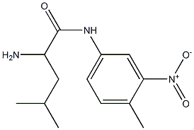 2-amino-4-methyl-N-(4-methyl-3-nitrophenyl)pentanamide 结构式