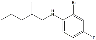 2-bromo-4-fluoro-N-(2-methylpentyl)aniline 结构式