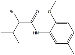 2-bromo-N-(2-methoxy-5-methylphenyl)-3-methylbutanamide 结构式